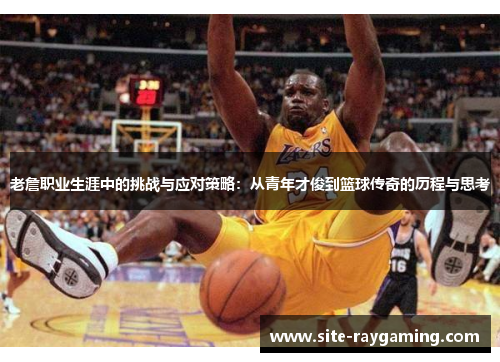 老詹职业生涯中的挑战与应对策略：从青年才俊到篮球传奇的历程与思考