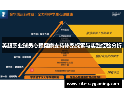 英超职业球员心理健康支持体系探索与实践经验分析