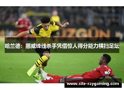 哈兰德：挪威锋线杀手凭借惊人得分能力横扫足坛