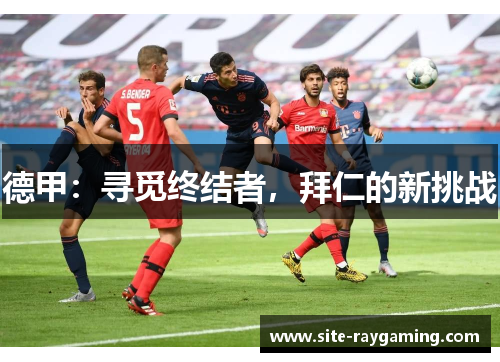 德甲：寻觅终结者，拜仁的新挑战