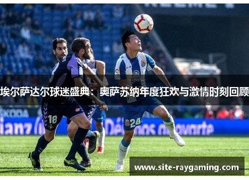 埃尔萨达尔球迷盛典：奥萨苏纳年度狂欢与激情时刻回顾
