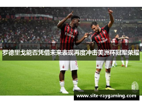 罗德里戈能否凭借未来表现再度冲击美洲杯冠军荣耀