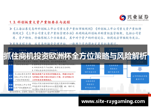 抓住商机投资欧洲杯全方位策略与风险解析