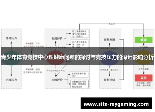 青少年体育竞技中心理健康问题的探讨与竞技压力的深远影响分析